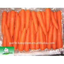 Red Carrot 150g-250g from Jining Brother